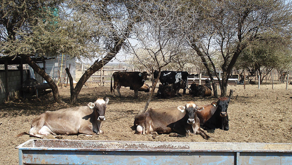 botswana-national-vetlab-2-1140_1.jpg