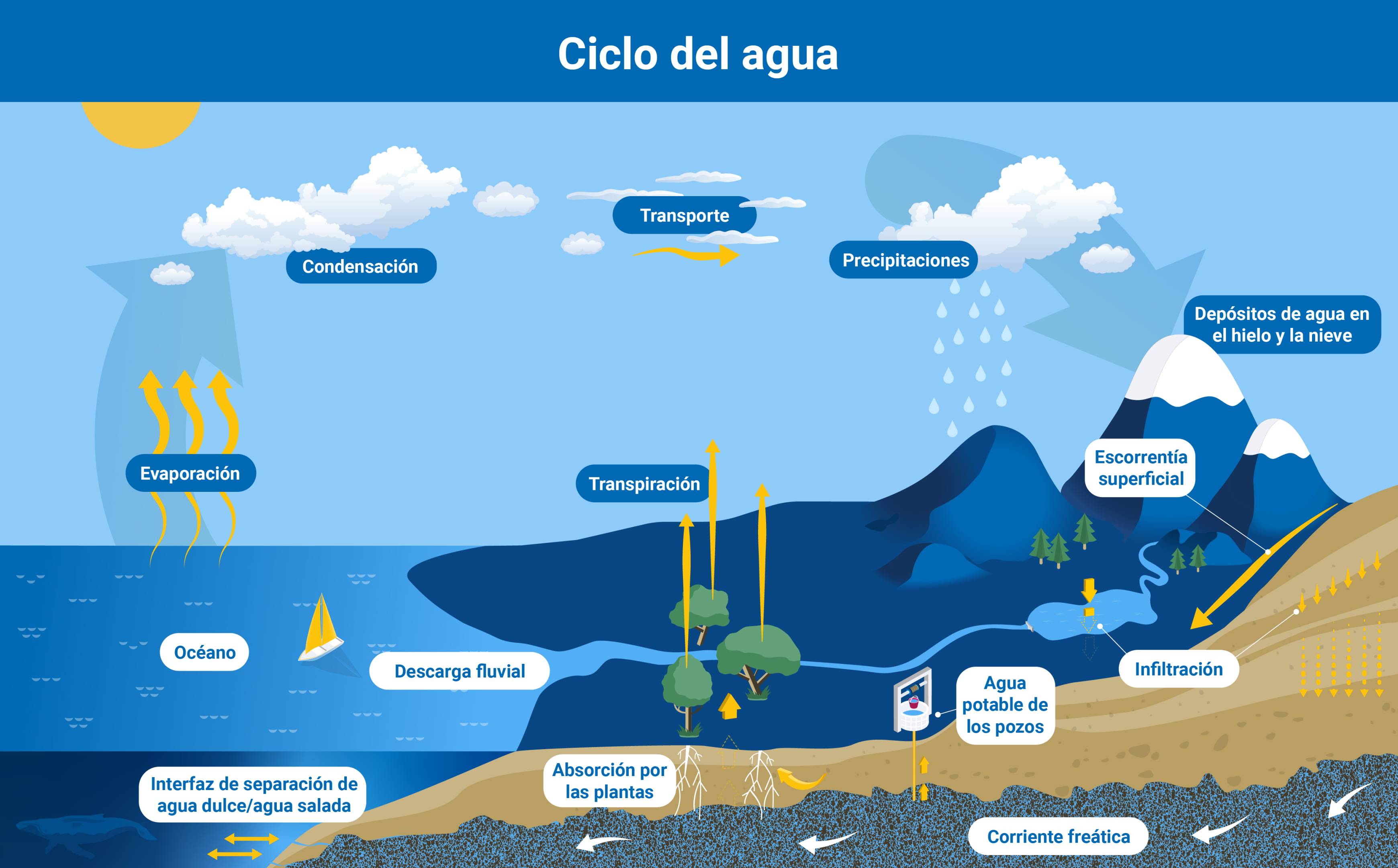 Ciclo del agua Ciclo del agua