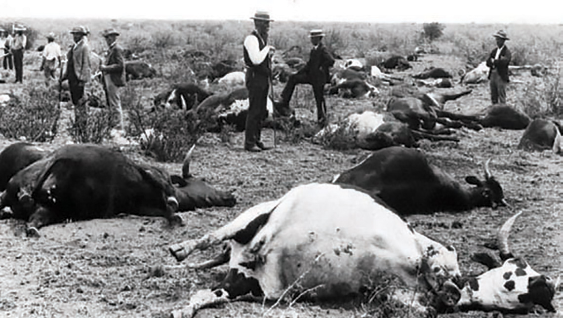 global-rinderpest-1140-2.jpg