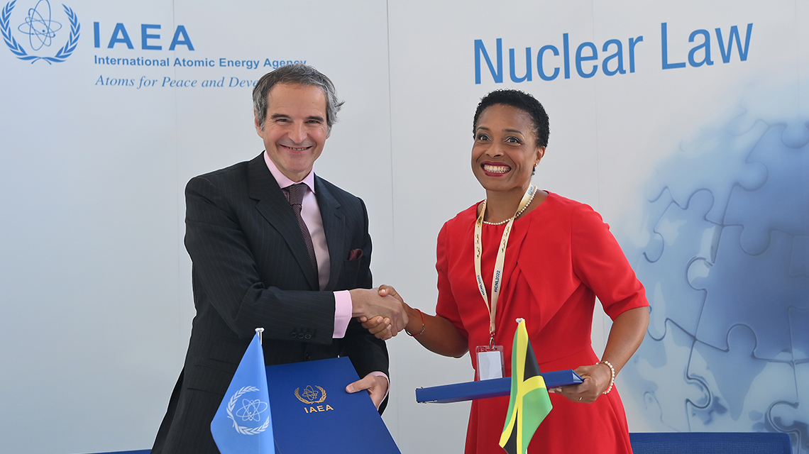 grossi-corthesy-university-programme-nuclear-law-1140x640.jpg