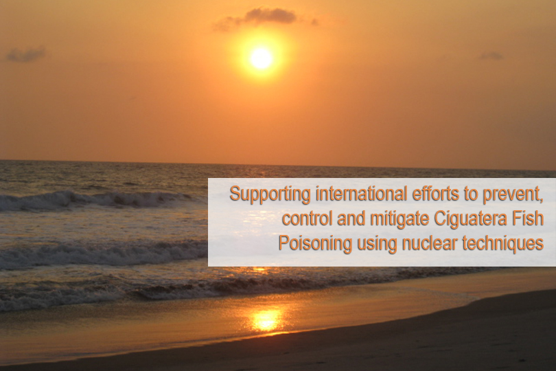 The Asia and Pacific region, including small island developing states, are under threat, year round, from seafood toxicity caused by marine algae. 