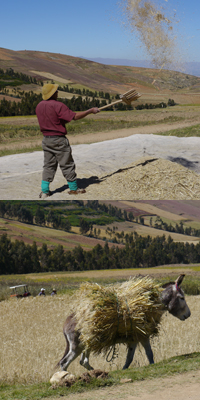 Peru.jpg