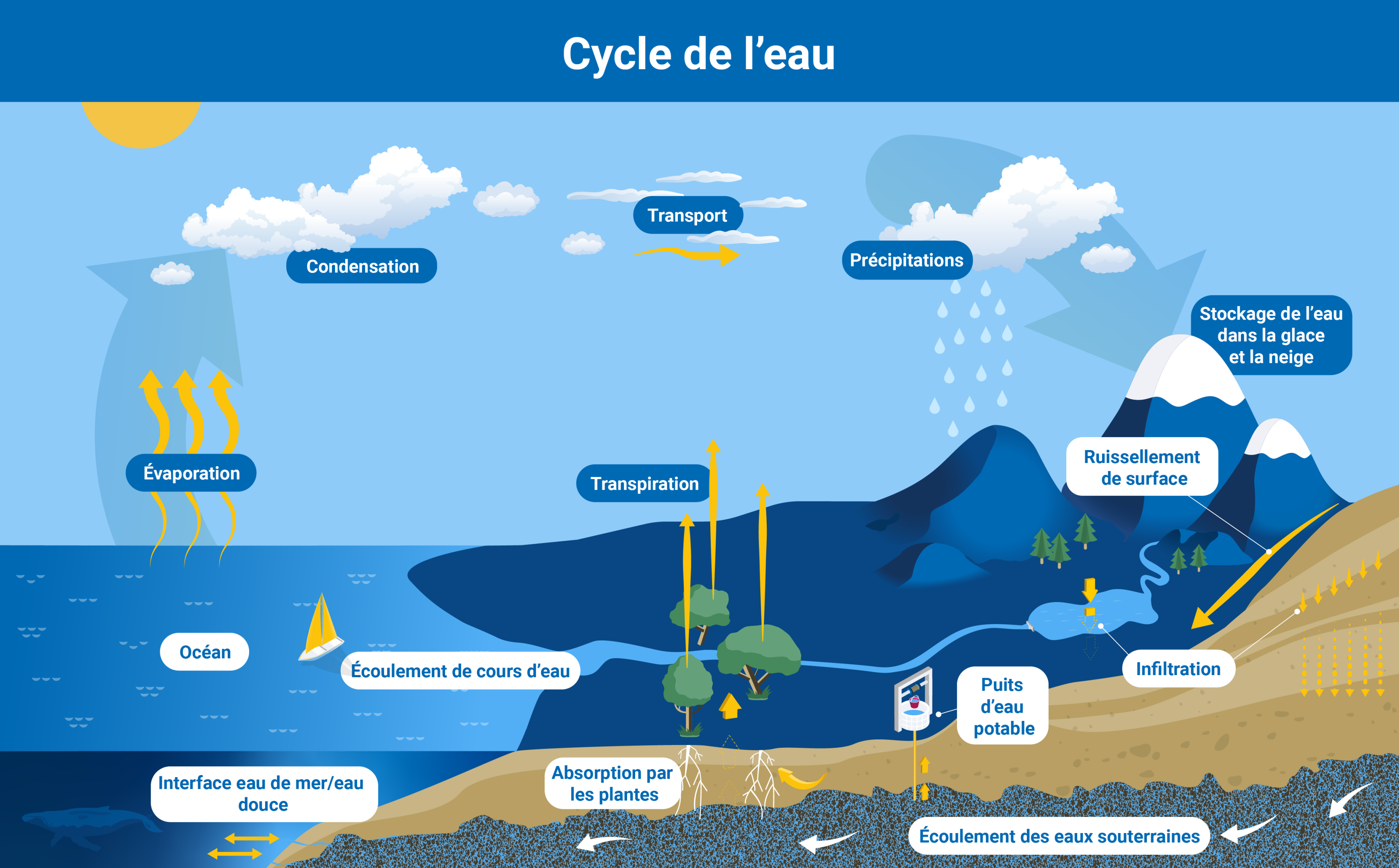 Infographie - Cycle de l'eau