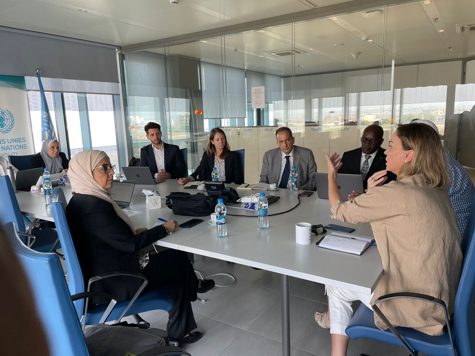 photo_3_-_djibouti_impact_review_-_who_representative_meeting.jpeg