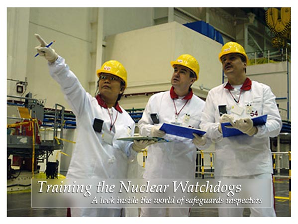 &copy; IAEA
