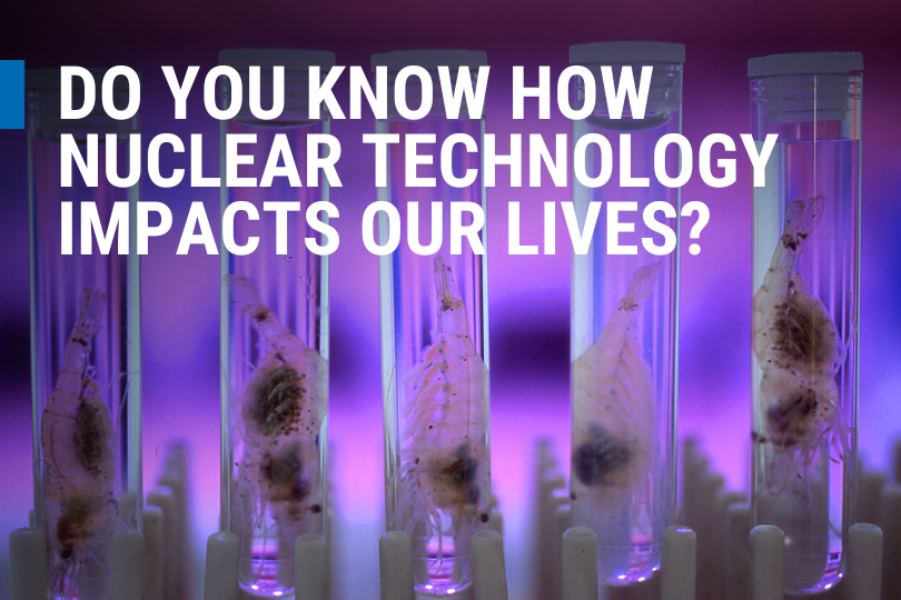 From enhancing cancer care and food safety to protecting ecosystems and improving water management, nuclear techniques are driving innovative solutions to global challenges. Dive into these stories to learn how the IAEA and its partners are making a difference in health, agriculture, energy and the environment.