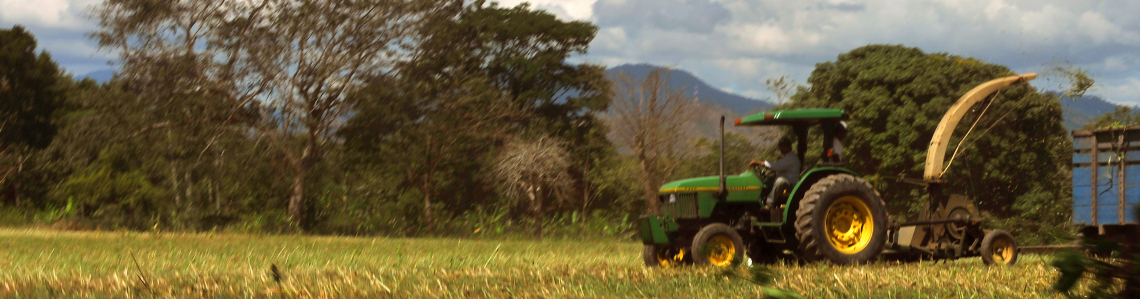 Greenhouse gas reuction. Olancho, Honduras