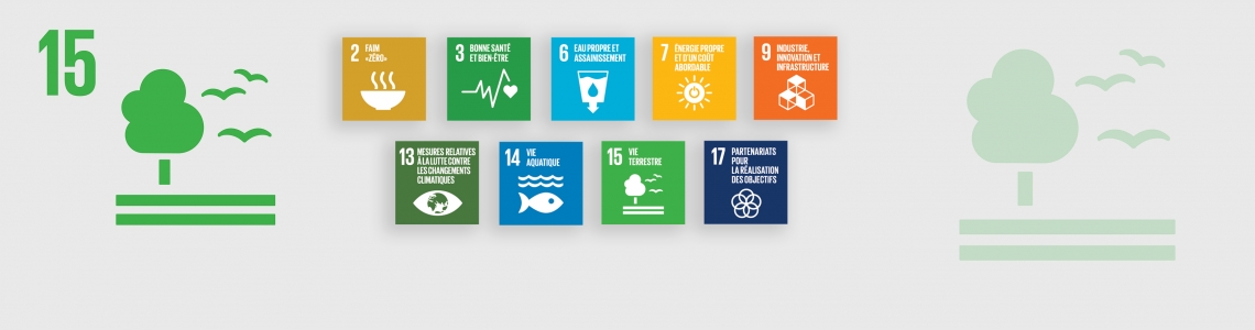 SDG-15-French