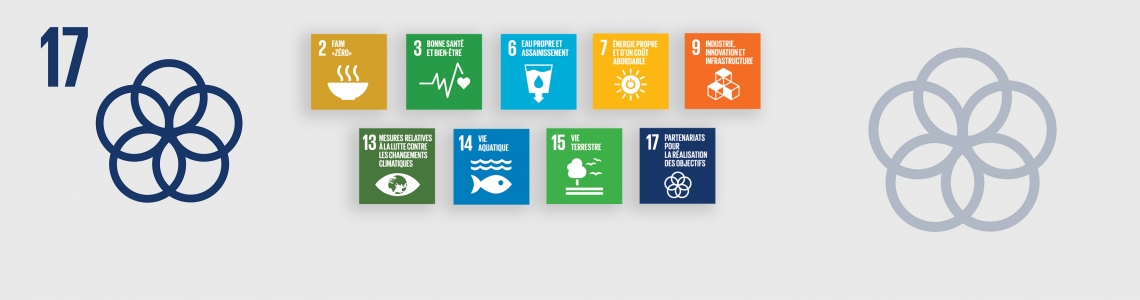 SDG-17-French