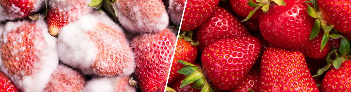 Food irradiation