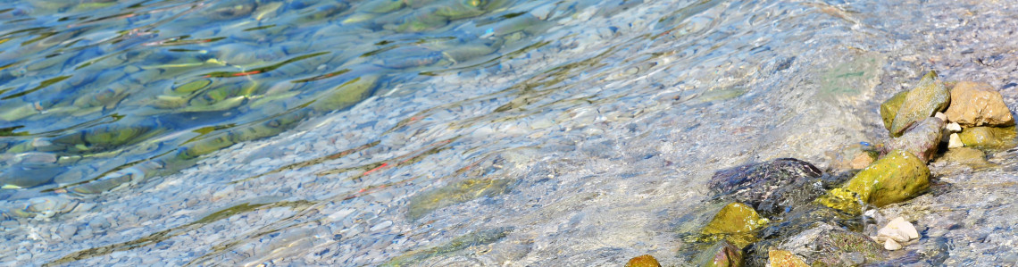oceans and the carbon cycle