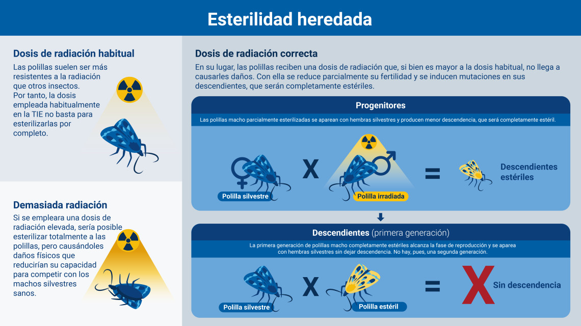 Esterilidad heredada