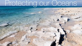 Protecting Our Oceans