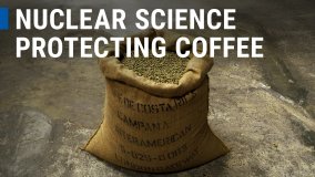 Protecting Coffee