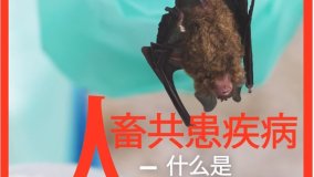 人畜共患疾病：什么是人畜共患疾??？