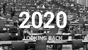 2020 - Looking back
