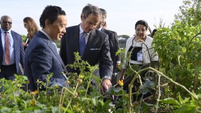 El OIEA y la FAO ponen en marcha la iniciativa emblemática Atoms4Food para ampliar el uso de técnicas nucleares en apoyo de la seguridad alimentaria mundial (en inglés)