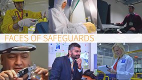 Faces of Safeguards