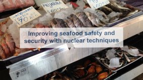 Improving Seafood Safety and Security with Nuclear Techniques