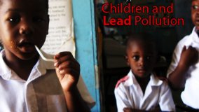 Toxic Playpens: Children and Lead Pollution