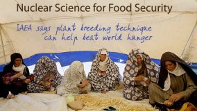 Plant Breeding Success Stories
