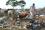 Other sources of groundwater pollution in northern Colombia are illegally dumped garbage and livestock excrement.