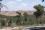 <p>The current pilot project, which is coordinated by the Agricultural Research Organisation, a branch of the Israeli Ministry of Agriculture, is being conducted in an isolated 10-hectare, olive-growing plot in the Lahav Forest in the Negev region of Israel.</p><p>The project is sponsored by the IAEA's Technical Cooperation programme.</p>&copy; David Nestel; Chronis Rempoulakis/ARO, Israel