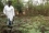 Geralde Gado Yamba Kassa, a researcher who spent six months as a visiting fellow at the IAEA’s laboratories between 2015 and 2016, checks which ones resist and which ones do not. “There is a tremendous opportunity to increase production in this country,” she says.