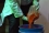 The pupae bag is opened and poured into a collection container, from which small samples are collected for quality control tests.