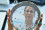 <strong>Do you know how nuclear science supports food security? </strong>
<br /><br />
The work of the IAEA’s Insect Pest Control Laboratory in Seibersdorf,  is crucial for protecting agriculture from invasive pests, by promoting the pesticide-free Sterile Insect Technique (SIT) as a solution. During a Mediterranean fruit fly outbreak in Mexico in 2021, the laboratory's expertise helped authorities to produce and release over 1.2 billion sterilized flies, protecting crops worth billions of dollars. This sustainable approach demonstrates how SIT can effectively address pest challenges, a key component of Atoms4Food, while reducing reliance on chemical treatments. Read more <a href="http://www.urlse.cn/newscenter/pressreleases/nuclear-technique-helps-mexico-eradicate-an-invasive-insect-pest-outbreak-threatening-farmers-livelihoods">here</a>.
<br /><br />
A scientist working at the Insect Pest Control Laboratory, Department of Nuclear Science and Application at IAEA Seibersdorf, Austria (Photo: IAEA)