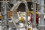 <strong>Do you know how nuclear data supports the future of fusion energy?</strong>
<br/><br />
The IAEA’s Nuclear Data Section provides critical atomic and molecular data essential for fusion energy research. This data supports advancements in plasma diagnostics and helps optimize fusion devices like tokamaks, which are now achieving fusion reactions thanks to stronger magnetic fields and improved materials. By enabling progress toward milestones such as pilot plant development, the IAEA’s efforts are helping to transition fusion from a distant dream to a viable energy solution for the future. Read more <a href="http://www.urlse.cn/bulletin/fusion-ready-when-society-needs-it">here</a>. 
<br/><br />
The ST40 tokamak, developed and operated by a private fusion energy company, Tokamak Energy, in October 2020. (Photo: Tokamak Energy)
