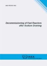 Decommissioning of Fast Reactors After Sodium Draining