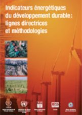 Indicateurs énergétiques du développement durable: lignes directrices et méthodologies
