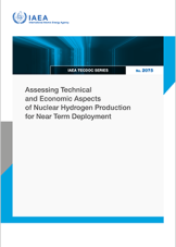 Assessing Technical and Economic Aspects of Nuclear Hydrogen Production for Near Term Deployment