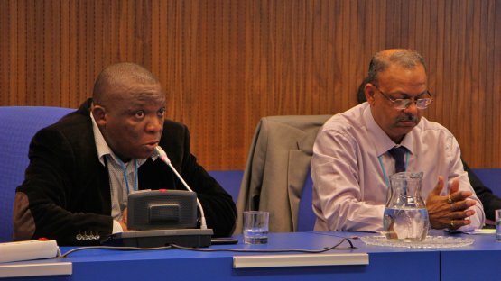 African Senior Ministry of Health Officials