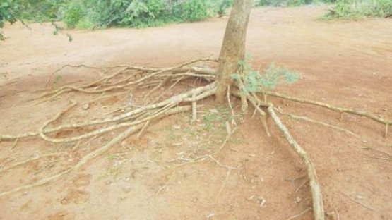 Soil erosion
