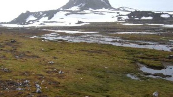 The impact of rising temperatures caused by climate change on seasonal snow cover