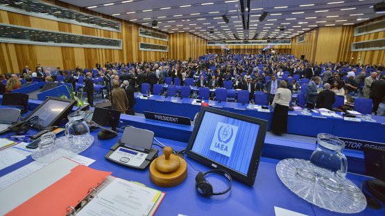 the Plenary