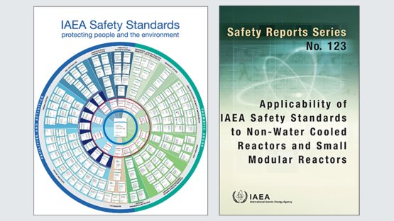 Image of safety report
