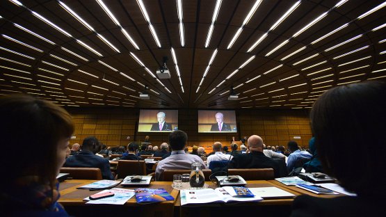 Scientific Forum