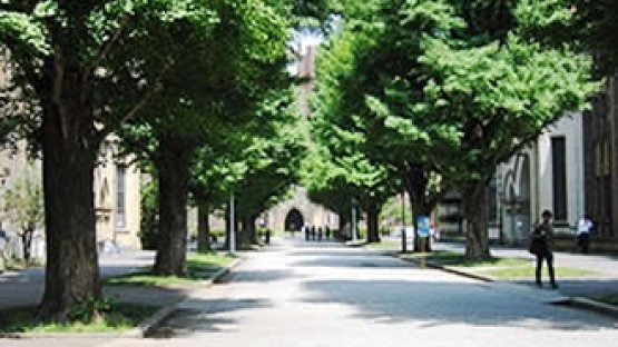 The Tokyo University campus in Japan.