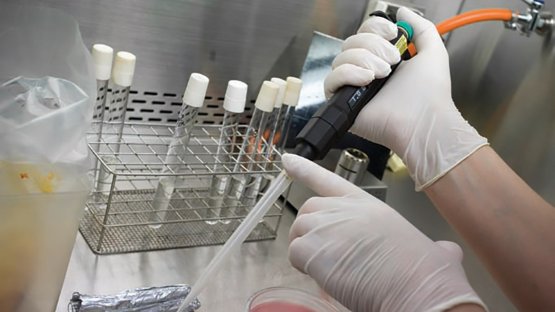 Increasing exports thanks to improved laboratory
