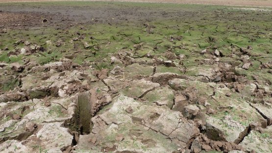 Drought