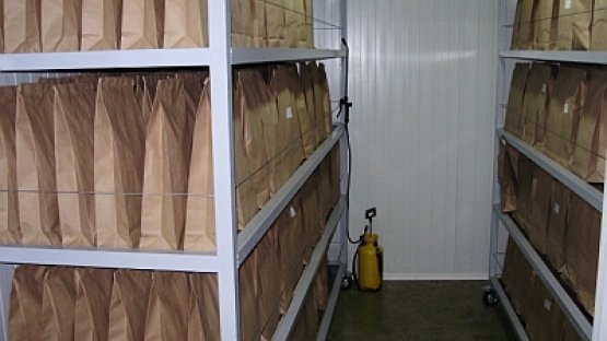 Paper bags with the pupae
