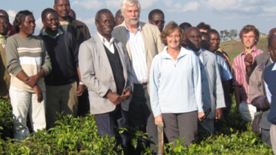 tea farm, tanzania
