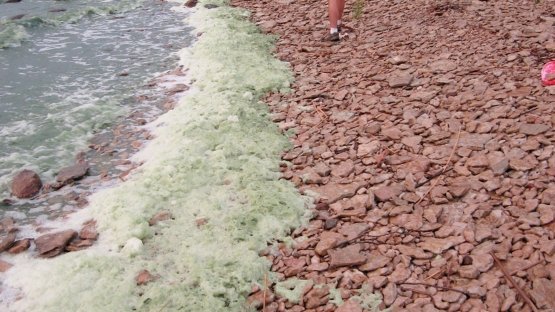 L’AIEA met au point une nouvelle méthode de détermination de l’origine de la pollution de l’eau