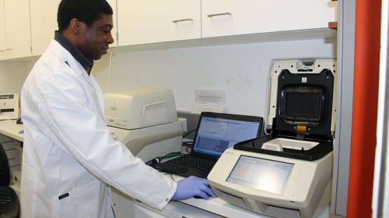 IAEA to assist Latin American and Caribbean countries in early detection of Zika virus