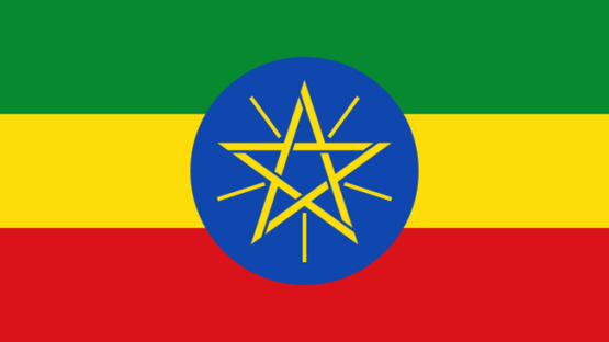IAEA Mission Says Ethiopia's Regulatory Body Is Committed to Improving Safety Amid Challenges
