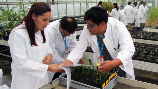 IAEA Training Addresses Devastating Coffee Disease