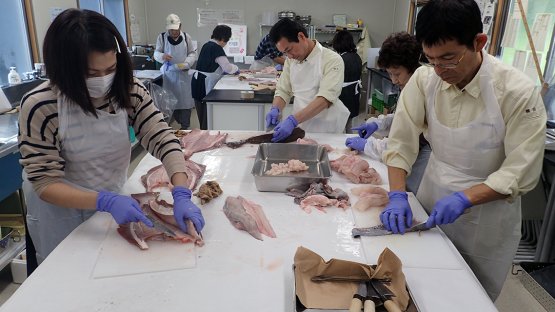 IAEA Experts to Collect Seawater, Marine Sediment and Fish Samples near Fukushima Daiichi Nuclear Power Station